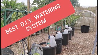 EASIEST amp CHEAPEST DIY SELF WATERING SYSTEM FOR YOUR PLANTS TREES [upl. by Nuhs]