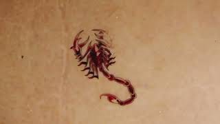 TEMPORARY tattoos amazing 4K [upl. by Aneet599]