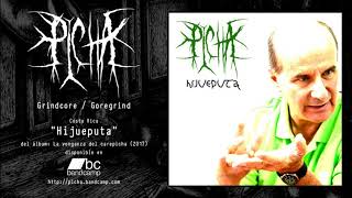 PICHA  Hijueputa Costa Rica GRINDCOREGOREGRIND [upl. by Eirellav552]