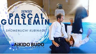 Pascal Guillemin shomenuchi kubinage [upl. by Bak]