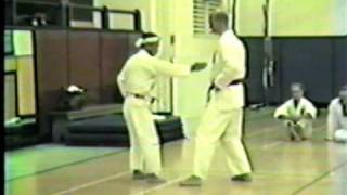 Sunsu kata  3 of 4 Bunkai Angi Uezu Isshinryu [upl. by Slotnick]