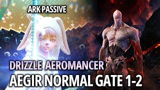 Lost Ark1660 Drizzle AeromancerArk Passive  Aegir NM Gate 12 [upl. by Veriee]