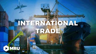 International Trade and Welfare Costs of Tariffs [upl. by Haraj]