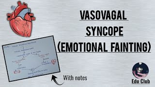 Vasovagal syncope  Emotional fainting  Cardiovascular physiology [upl. by Doowrehs]