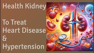 Health Kidney to Treat Heart Disease amp Hypertension [upl. by Yrrehc256]