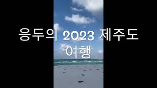 응두의 2023 제주도 여행 1탄 [upl. by Dusty705]