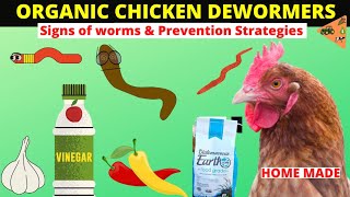 HOW TO MAKE ORGANIC DEWORMER FOR CHICKEN Signs amp Preventing worms infestation in Chicken NATURALLY [upl. by Campos]