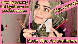 How To Pluck Shape Your Eyebrows At Home  Perfect Eyebrows Tutorial For Beginners  DietitianAqsa [upl. by Nilyarg]