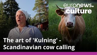 Kulning How an ancient Scandinavian cow herding call has become an art form [upl. by Suirtemid841]