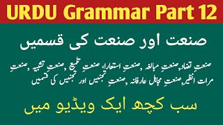 Class 10th amp 12th  Urdu Grammar Part 12  Sanate aur Sanato ki qisme MAHA TET  REET  UPTET [upl. by Oliy49]