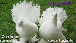 Dejavu🕊 FM • Canlı İstek Yayını  Online Radyo Dinle [upl. by Imoen]