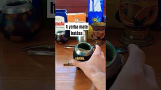 Ezért a Kedvenc Italom a Yerba Mate🧉 yerbamate hungary [upl. by Tiras66]