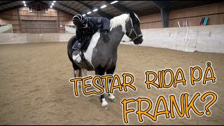 STALL VLOGG  TESTAR RIDA PÅ FRANK [upl. by Aiuqal28]