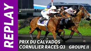 Gold Voice sur le fil dans le Prix du Calvados Cornulier Races Q3 GRII  Vincennes  070124 [upl. by Irabaj]