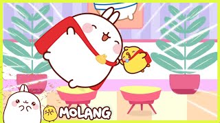 Molang  The Casting  Season 2 Compilations [upl. by Naashom]