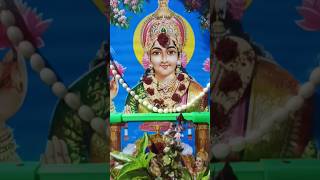 Lakshmi mata song lakshmi ammavari short [upl. by Yerdua393]