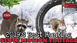 Day 25 The Best Slow Motion Hunting Footage Tracer Pellets  EDgun Leshiy [upl. by Derwon104]