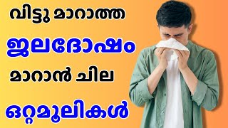 jaladosham maaran ottamooli  ജലദോഷം മാറാൻ ഒറ്റമൂലി  ottamooli homeremedies [upl. by Samuele530]