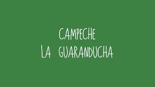 Campeche  La Guaranducha Audio [upl. by Olemrac938]