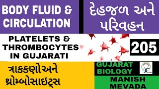 PLATELETS amp THROMBOCYTES IN GUJARATI  ત્રાકકણો અને થ્રોમ્બોસાઇટ્સ [upl. by Atelokin]