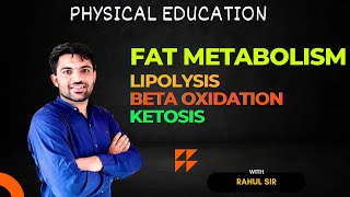 Fat metabolism by Rahul sir  Lipolysis  Beta oxidation  Ketosis  Energy system  Physiology  PE [upl. by Meedan52]