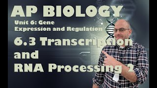 AP Biology  Unit 6  63  Transcription and RNA Processing 2 [upl. by Snebur]