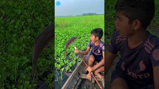 😲 Best Boat Fishing With Kotch 🌻part 145boatfishing viral shorts fish naturalfishingbigfish [upl. by Reimer]