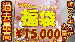 【2024年】秋葉原で購入した15000円の可動フィギュア福袋開封したら中身がヤバすぎた [upl. by Hinckley80]