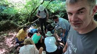 Looking at some of the invertebrates in a woodland stream [upl. by Mamoun]