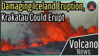 This Week in Volcano News Damaging Iceland Eruption Krakatau Could Erupt [upl. by Maxma]