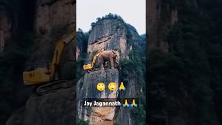 Jay Jagannath🙏 Elephant Viralvideoviralodiaviralvideo viralshortsMohantys vlogs amp recipes [upl. by Earised582]