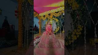 Best mandap Decoration  Wedding Decoration  Mandap decoration 💡 shorts mandap decoration sadi [upl. by Fin]