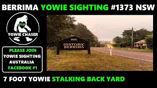 YOWIE SIGHTINGS BERRIMA 1373 NSW [upl. by Leirda]