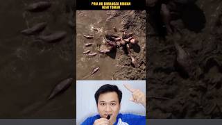 DIMANGSA RIBUAN IKAN TOMAN KELAPARAN‼️shorts alurcerita storytelling [upl. by Laehcym]