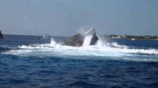 Kittiwake Sinking HD voted best video [upl. by Aietal772]