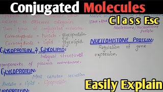 Conjugated Molecules  Class 11 Biology [upl. by Ynneh]