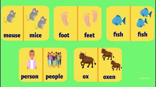 Irregular Plural Nouns  Grammar with examples  Learn English for Kids [upl. by Norraj]