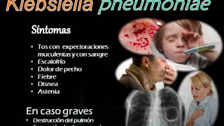 Video Clase Klebsiella [upl. by Skees]