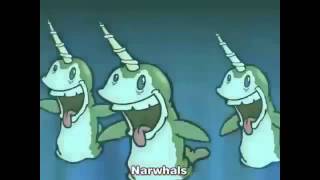 The Narwhal song bass boosted [upl. by Neimad]