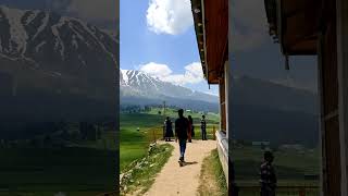 kashmir bollywood travel gulmarg kashmir travel [upl. by Ermanno768]