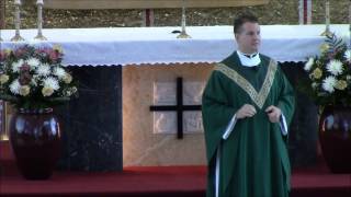 Seventh Sunday in Ordinary Time 2014  Father Rothan [upl. by Manaker]