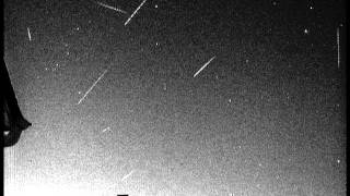 Early Leonid Meteors Caught On Camera  Video [upl. by Palmer962]