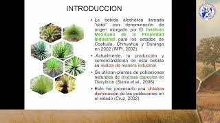 Mesa 1 Ulises Gutiérrez Población y dasometría de sotol Dasylirion spp [upl. by Nivonod]