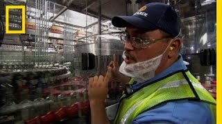 Bottling Bacardi  Ulitmate Factories [upl. by Ainocal666]