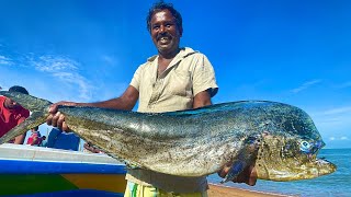 Amazing view best and big fish harvesting fishermans in traditional village Sri Lanka [upl. by Rehptosirhc35]