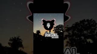 PAGAL  Slowed and Reverb [upl. by Kinna998]