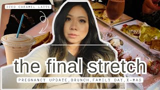 vlog 108 the last few weeks being pregnant brunch dates xmas nesting amp more [upl. by Llewellyn584]