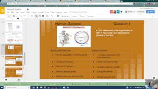 Mitochondrial Genome Vs Nuclear Genome [upl. by Nalloh131]