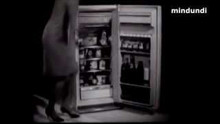 1960s Frigorífico Cointra Nevera Anuncio Publicidad España Spain Refrigerador Ad [upl. by Fontana]