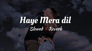 Haye Mera Dil  Slowed amp Reverb [upl. by Hawken658]